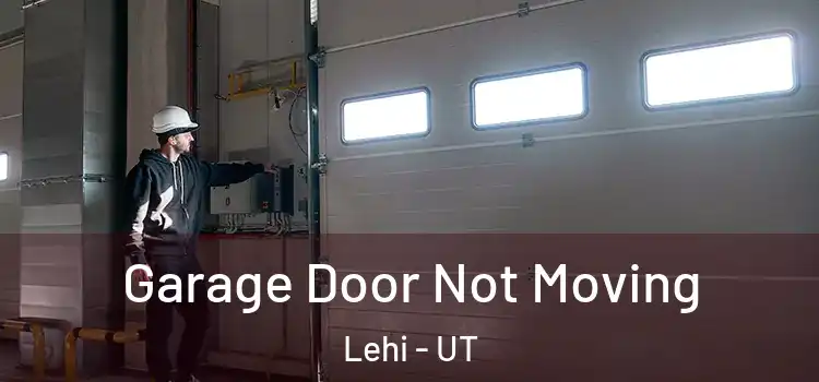  Garage Door Not Moving Lehi - UT