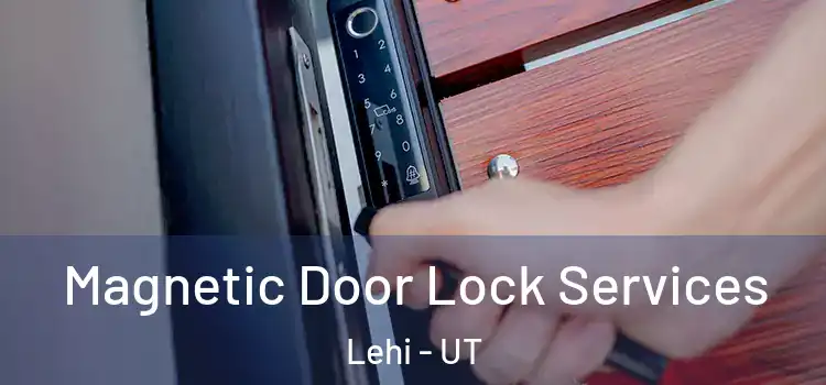 Magnetic Door Lock Services Lehi - UT